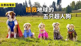超級巴迪 | 電影解説 | 科幻電影 | 五只小狗撿到神秘圓環，竟獲得各種奇葩 超能力，最終拯救地球！#超級巴迪#電影解説#科幻片#奇幻冒險#電影推薦#超能力電影#美國科幻片#超級巴蒂綫上看