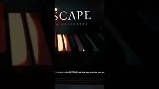 Keyscape Issue