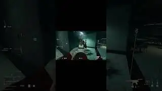 This DMZ Moment