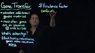 Gene transfer