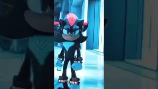 shadow is cooked by sonic #sonic