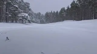 Relaxing Piano Music & Snowy Forest View | Winter Ambience