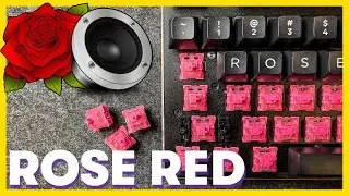 Akko ROSE RED Switches Sound Test // Lubed vs Stock (and unboxing)