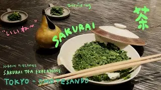 사쿠라이 티 익스피리언스🌱 | 도코 오모테산도에서 만나는 일본 TEA COURSE / sakurai tea