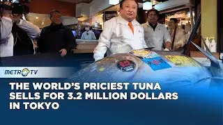 Bluefin Tuna Sells for 3.2 Million Dollars at Tokyo Toyosu Market