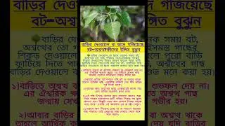 বাড়ির দেওয়ালে বা ছাদে গজিয়েছে বট-অশ্বত্থ? কীসের ইঙ্গিত বুঝুন। #shorts#vairalvideo#foryou#shortsfeed