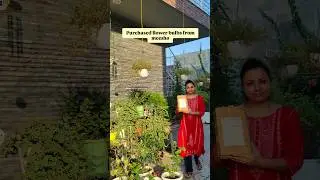 meesho से winter flower bulbs मंगवाए #gardening #ytshorts #shorts #meeshofinds