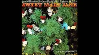 PEPS & BLUES QUALITY (Klippan, Sweden) - Sad  Night Is Fallin'