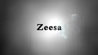 Zeesa Tempered Glass Test