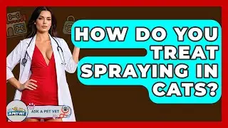 How Do You Treat Spraying In Cats? - Ask A Pet Vet