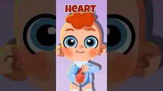 🧠 Body Secrets: Organs Inside Us!❤️ #kids #learn