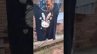 burning#16 hello Kitty blouse vs fire