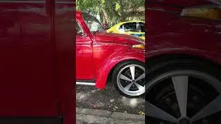 Irm&atilde;o do Aventura 💚💜 #fuscaaventura #top#fuscas#carros #fusqueiros
