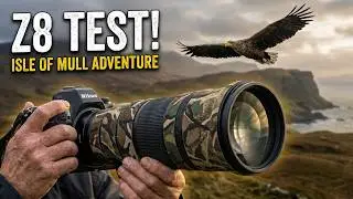 Isle of Mull Wildlife Adventure | Nikon Z8 Super Telephoto