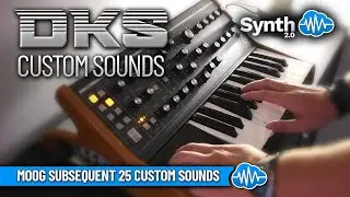 MASSIVE LEADS SOUND LIBRARY (16 new sounds) | MOOG SUBSEQUENT 25 | JAM
