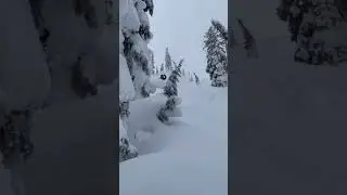 First time Split-boarding!