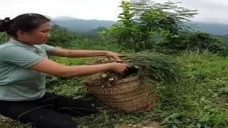 Single Mother & Orphan Boy Build Bamboo Duck Coop & Harvest Vegetables | 3-Day Heartwarming Journey