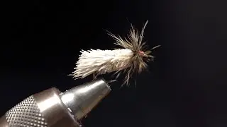 Sedge façon Goddard .