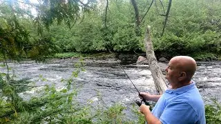 Rough Start of Summer for Me !