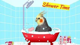 how to bath your cockatiel,Keeping Your Cockatiel Clean: Mastering the Art of Shower Time