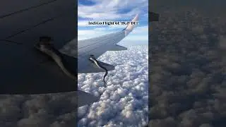 Snake spotted on #indigo Flight wing Mid-air passenger stunned | #shorts #&iacute;ndigo #flights