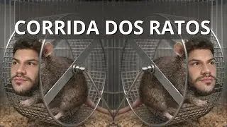 MATRIX, CORRIDA DOS RATOS E AI?