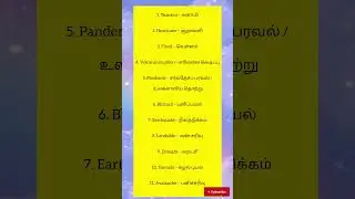 🌪💥&ldquo;Top 11 Natural Disasters in English & Tamil.Easy Learning for Beginners Tamil Explanation&rdquo;#viral