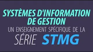 Sp&eacute;cialit&eacute; Syst&egrave;mes d'Information de Gestion en s&eacute;rie STMG