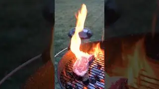 I left this steak in my fridge for 40 days . . . on purpose!