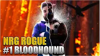 Top Clips of NRG Rogue - Best Bloodhound Player