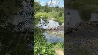 Nature #shortvideo #river #calgaryvlogs #calgary #bike #play