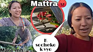 Aaja aalu ko pula laudai mh😲#subcribe plz
