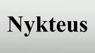 Nykteus