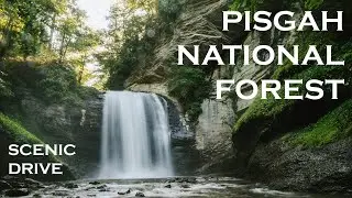 Scenic Drive through Pisgah National Forest | Pisgah Highway, NC