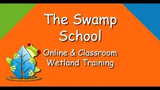 Online Wetland Training Sneak Peek