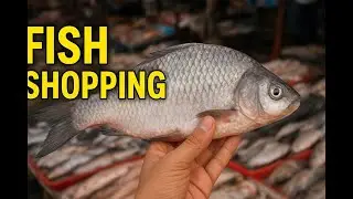 Fish Market Vlog|Fresh Fish Shopping From Market| The Food Kitchen