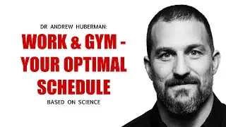 Neuroscientist: use your INNER CLOCK to coordinate physical and mental work - Dr. Andrew Huberman
