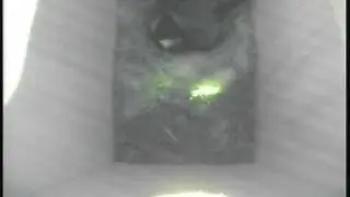 Bird box at Blunsdon House #1
