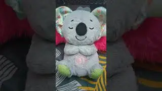 breathing koala