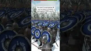 Нет ничего лучше, чем стена из стургийских щитов #bannerlord #gaming #mountandblade