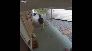 Beware of dogs