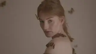 Peter Lipa - Motýľ