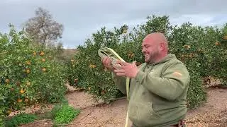 Camperos está la vamos a desmontar de aquí y la montamos en otra finca que ya está la autorización👍