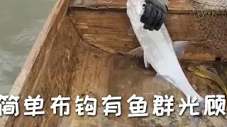 帶上排延鉤漫步水邊，簡單布鉤便有魚群光顧【漁民 梁少】