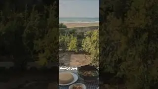 پنیر برشته گیلانی - مناسب برای همه ی وعده ها | ! Gilani Fried Cheese 🍳🧀