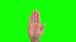 Hand up green screen 2k footage