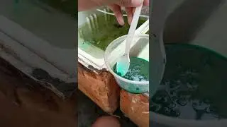 Deworm muna sa ating mga molly and guppy