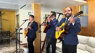No lastimes m&aacute;s - Luis Alberto Aguilera Valadez - Tr&iacute;o los Ping&uuml;inos - tr&iacute;o elegante de M&eacute;xico