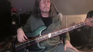 Cat Scratch Fever bass guitar cover