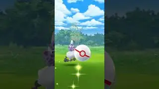 First RAID✨SHINY✨ #pokemongo #shorts #viralshorts